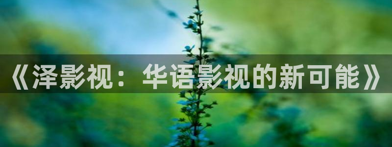 人人鲁在线视频：《泽影视：华语影视的新可能》