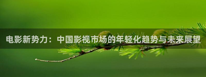 人人看影视：电影新势力：中国影视市场的年轻化趋势与未来展望