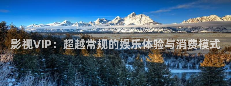 人人爱人人做视频免费：影视VIP：超越常规的娱乐体验与消费模式