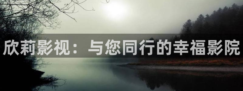 人人爽人人爽人人片a：欣莉影视：与您同行的幸福影院