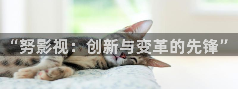 人人干全网视频：“努影视：创新与变革的先锋”