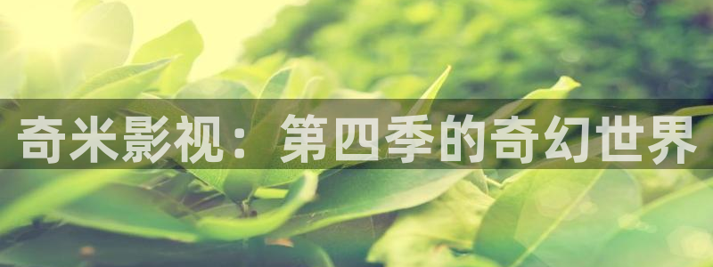 aaaaaa大片免费看欧美鬼片人人免费app网：奇米影视：第四季的奇幻世界