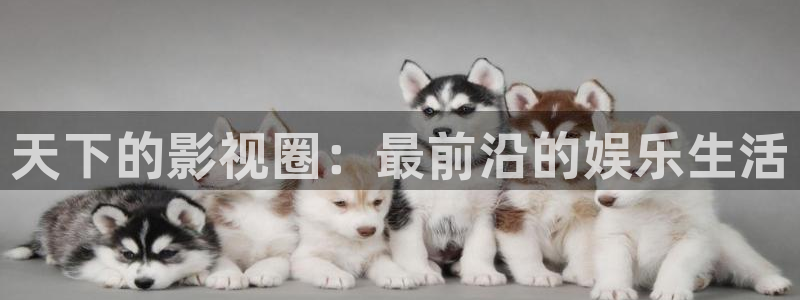 人人三级视频在线观看：天下的影视圈：最前沿的娱乐生活