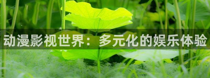 以爱为营人人影院：动漫影视世界：多元化的娱乐体验